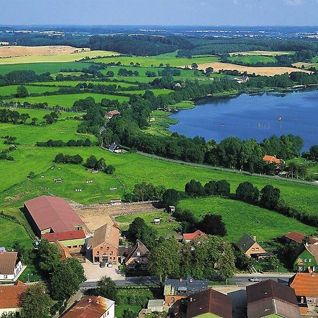 Ponyhof Naeve Am Wittensee Gross Wittensee Esterno foto
