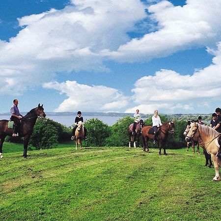 Ponyhof Naeve Am Wittensee Gross Wittensee Esterno foto