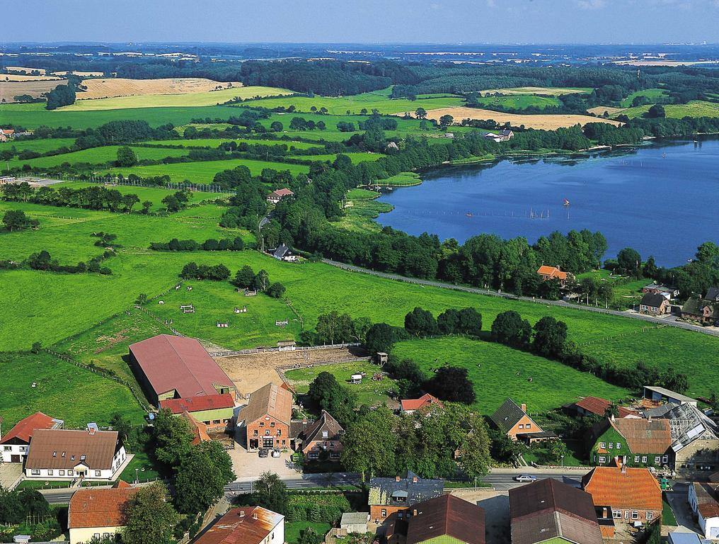 Ponyhof Naeve Am Wittensee Gross Wittensee Esterno foto
