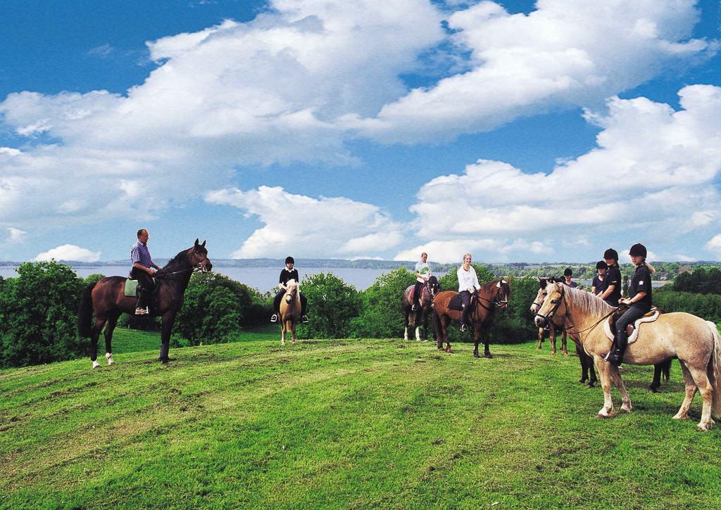 Ponyhof Naeve Am Wittensee Gross Wittensee Esterno foto