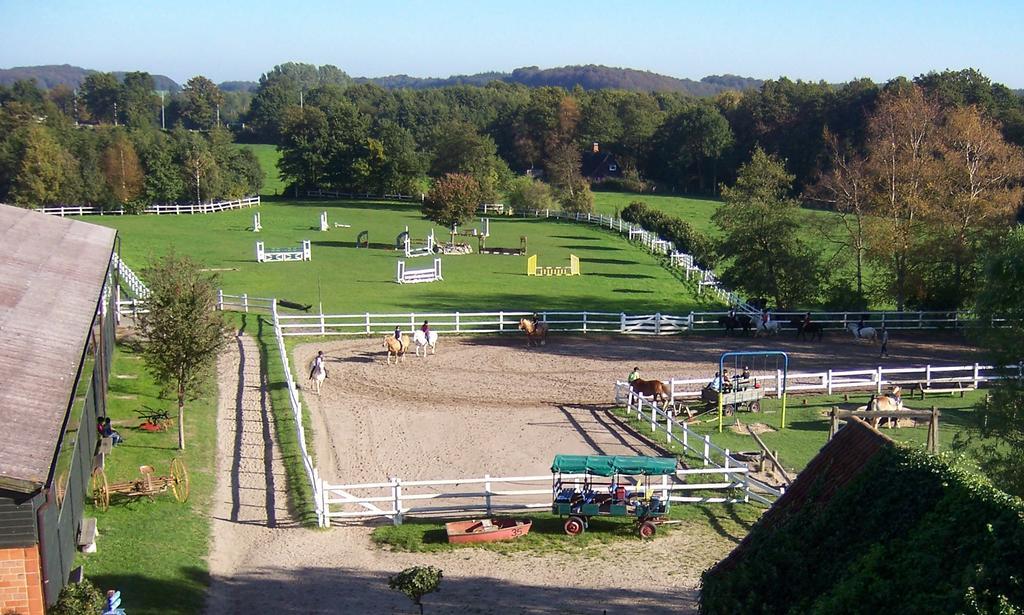 Ponyhof Naeve Am Wittensee Gross Wittensee Esterno foto