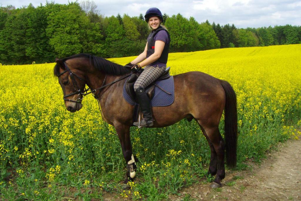 Ponyhof Naeve Am Wittensee Gross Wittensee Esterno foto
